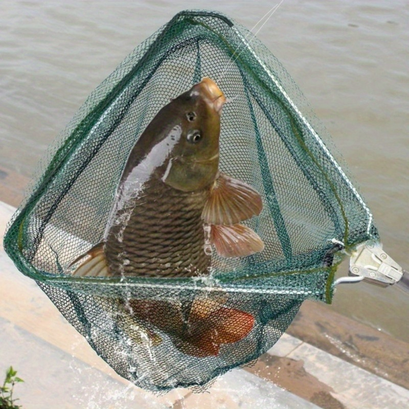 ตาข่ายดักปลาแบบพับได้ รูปทรงสา - Landing Net Telescopic บทวิจารณ์และราคา